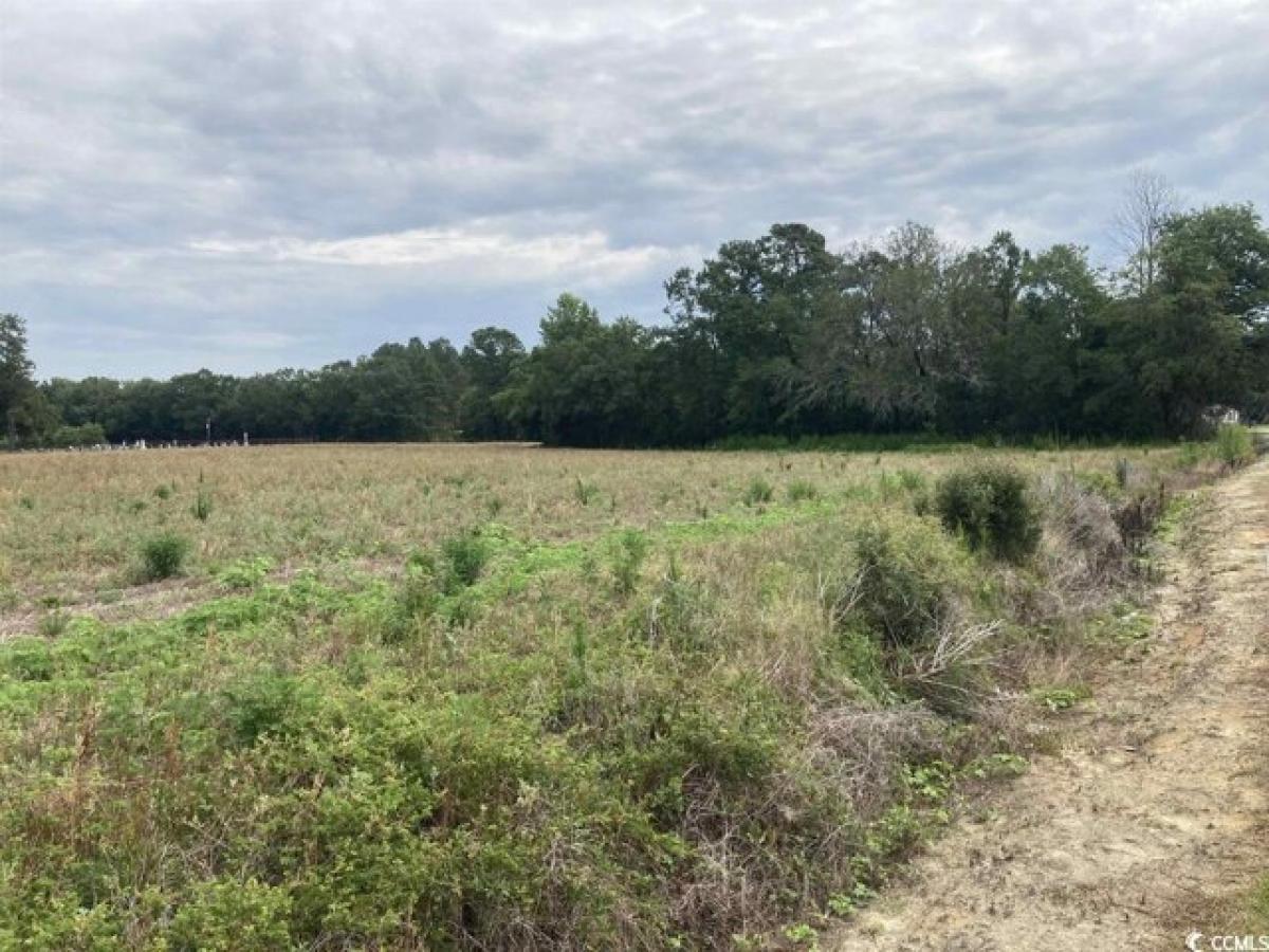 Picture of Residential Land For Sale in Johnsonville, South Carolina, United States