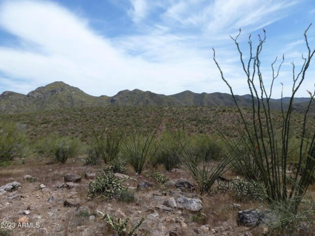 Picture of Residential Land For Sale in Morristown, Arizona, United States