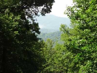 Residential Land For Sale in Otto, North Carolina