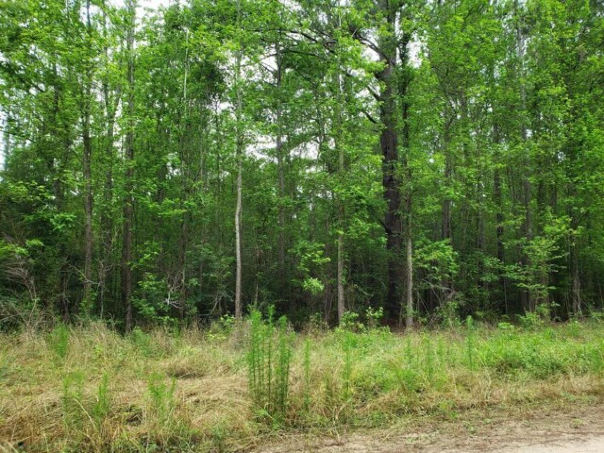 Picture of Residential Land For Sale in Cottageville, South Carolina, United States