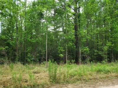 Residential Land For Sale in Cottageville, South Carolina