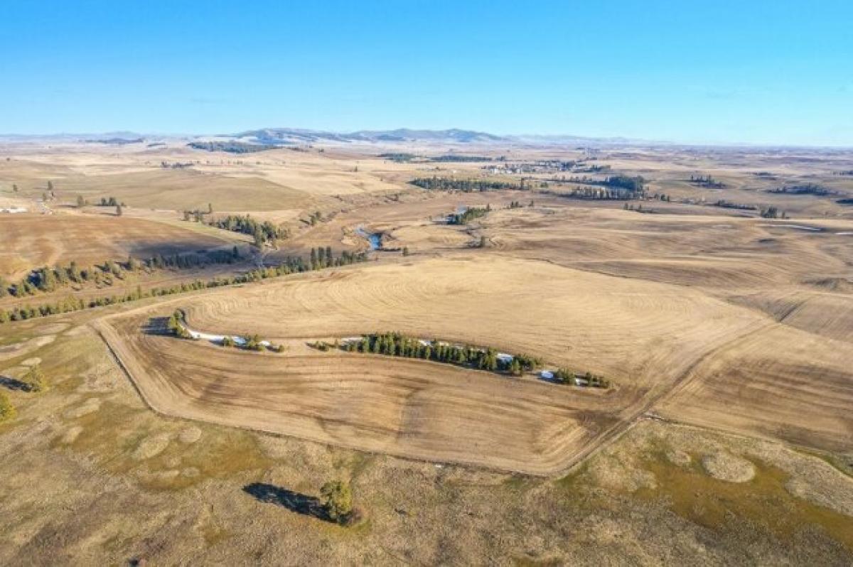 Picture of Residential Land For Sale in Spangle, Washington, United States
