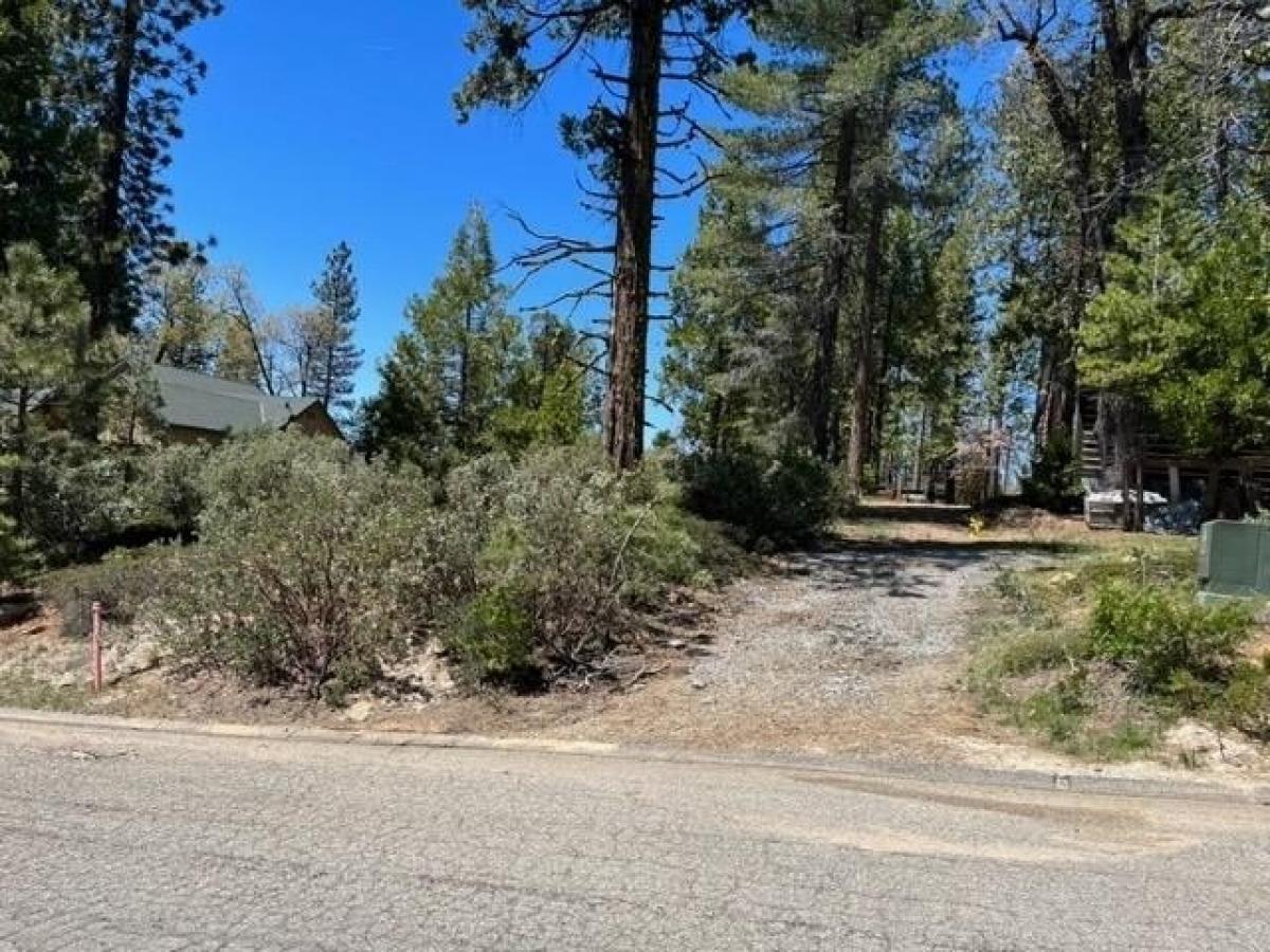 Picture of Residential Land For Sale in Shaver Lake, California, United States