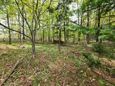 Residential Land For Sale in Hillman, Michigan