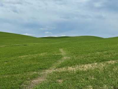 Residential Land For Sale in Spangle, Washington