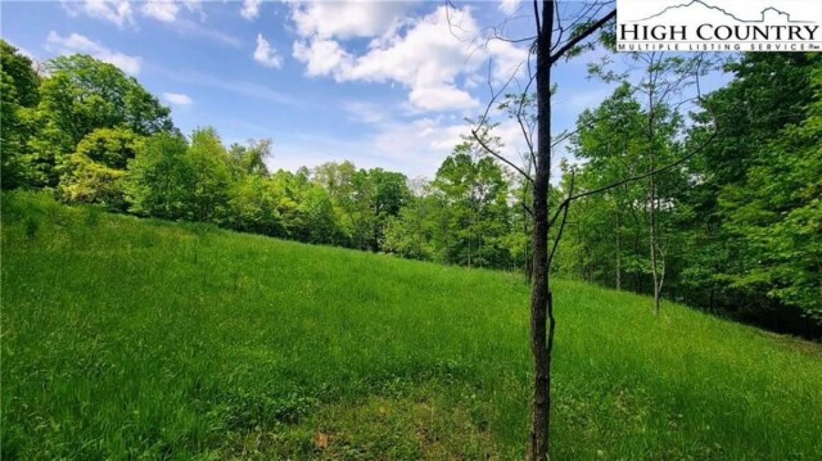 Picture of Residential Land For Sale in Warrensville, North Carolina, United States