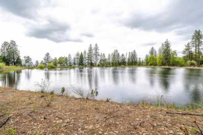 Residential Land For Sale in Manton, California
