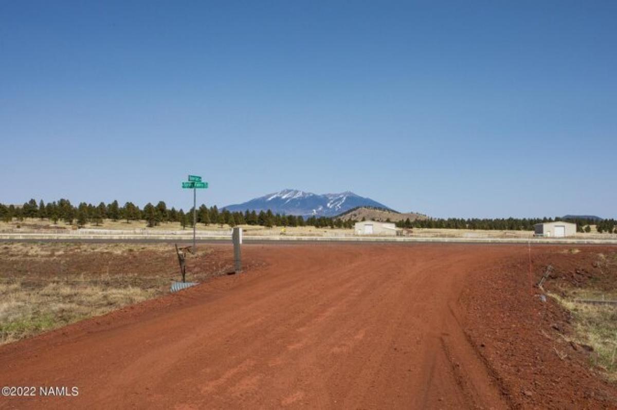 Picture of Residential Land For Sale in Parks, Arizona, United States