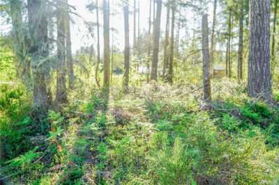 Residential Land For Sale in Elma, Washington