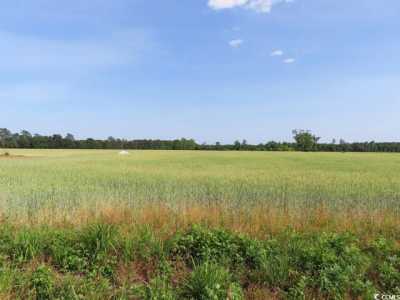 Residential Land For Sale in Galivants Ferry, South Carolina