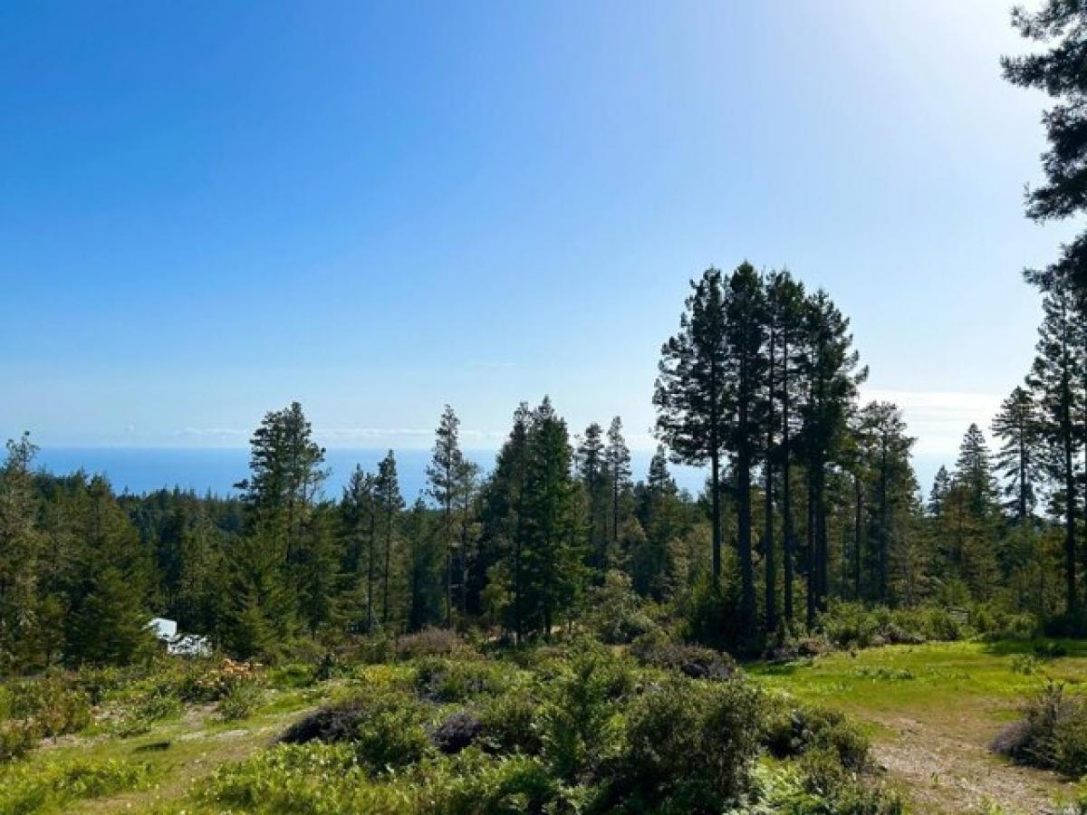 Picture of Residential Land For Sale in Gualala, California, United States
