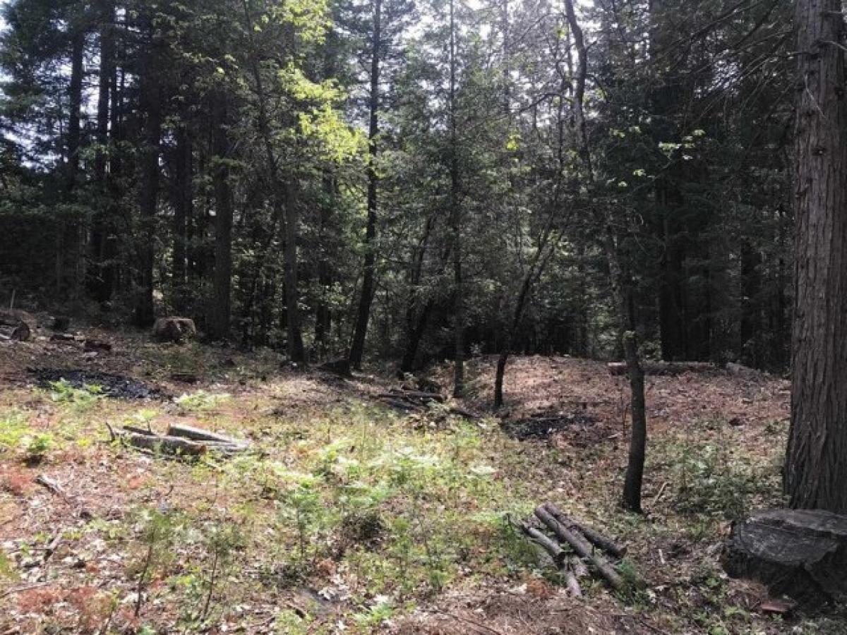 Picture of Residential Land For Sale in Dunsmuir, California, United States