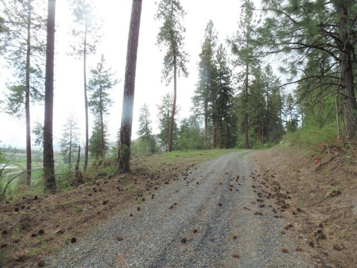Picture of Residential Land For Sale in Colville, Washington, United States
