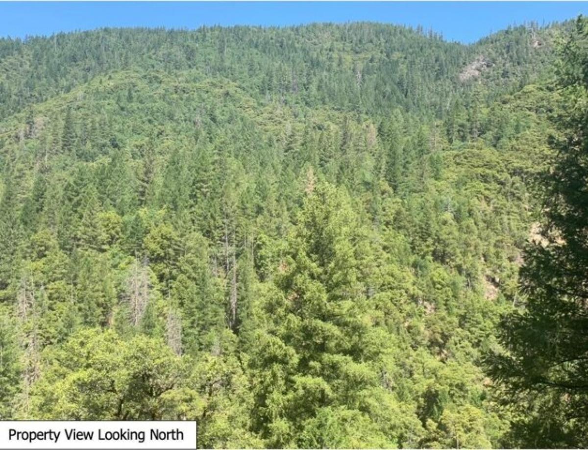 Picture of Residential Land For Sale in Nevada City, California, United States