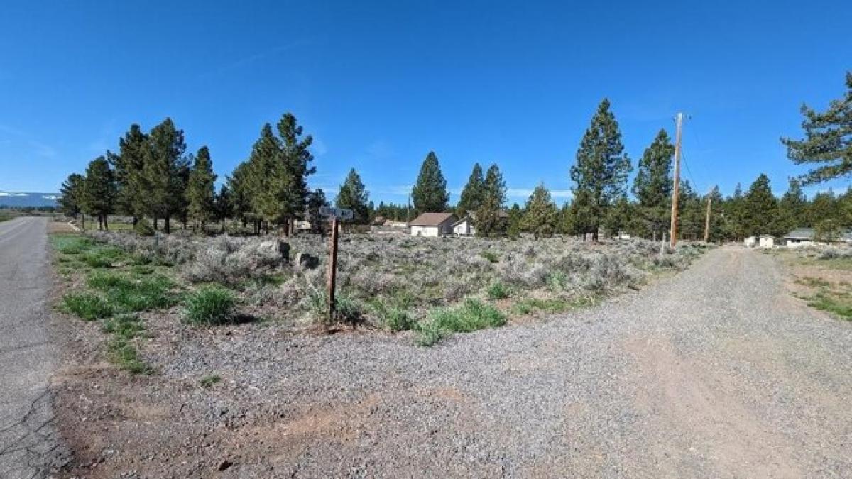 Picture of Residential Land For Sale in Susanville, California, United States