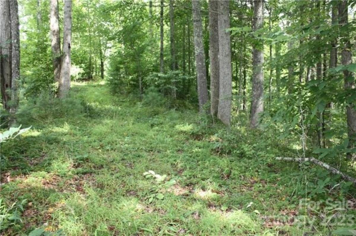 Picture of Residential Land For Sale in Micaville, North Carolina, United States