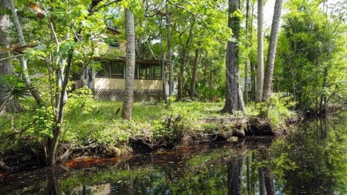 Picture of Home For Sale in Steinhatchee, Florida, United States