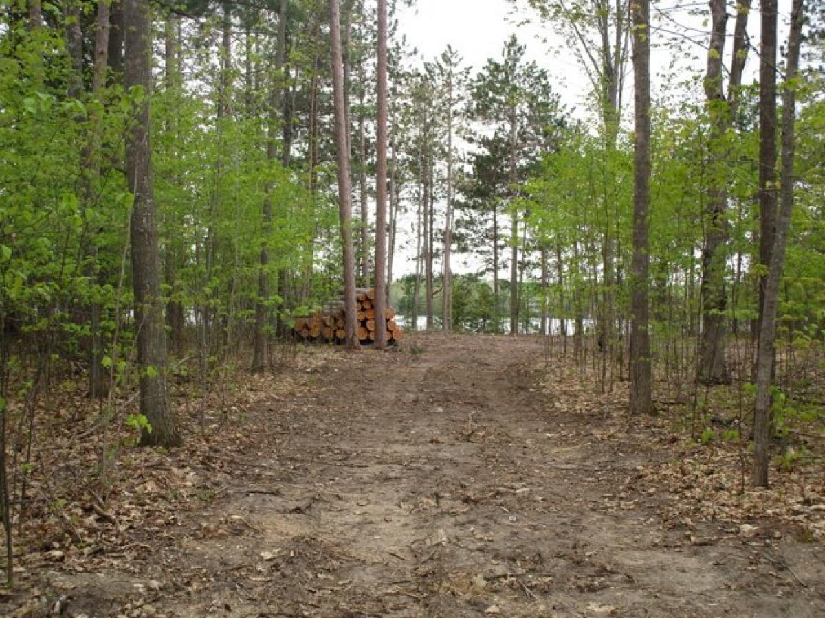 Picture of Residential Land For Sale in Cheboygan, Michigan, United States