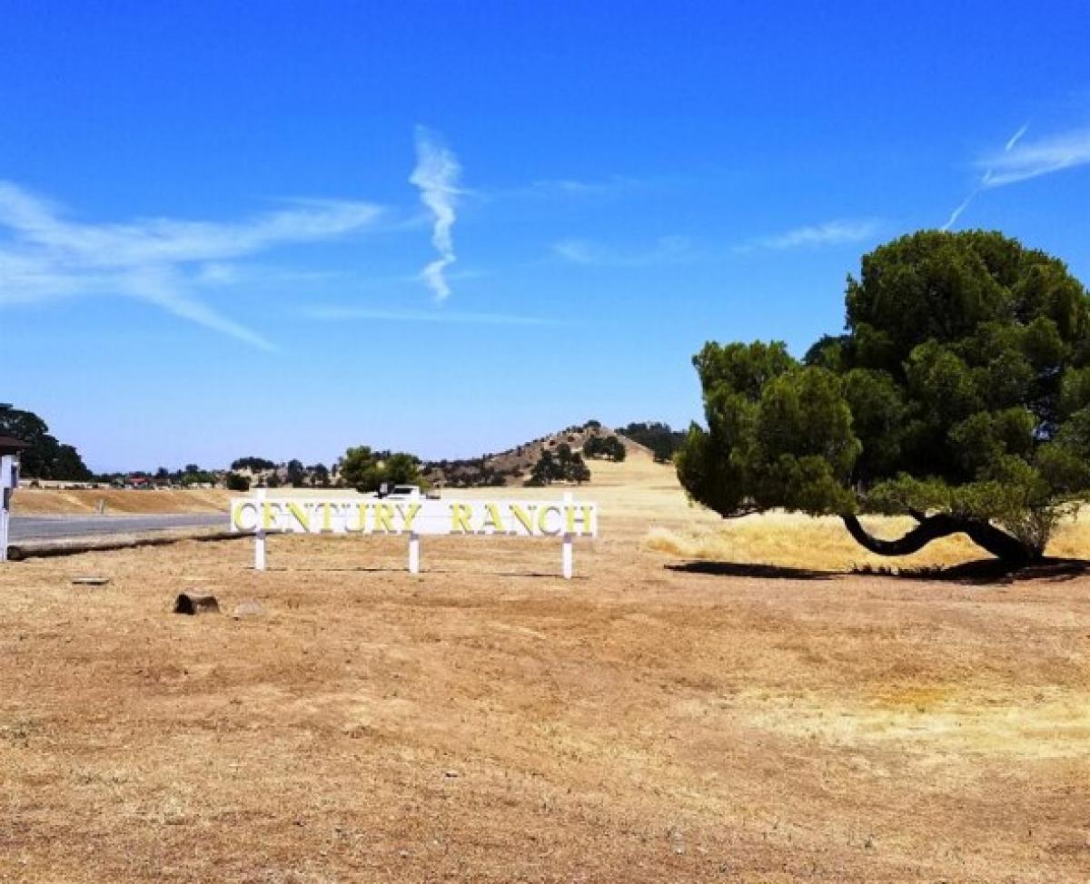 Picture of Residential Land For Sale in Stonyford, California, United States