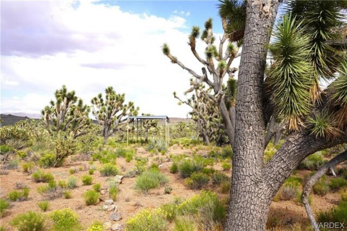 Picture of Residential Land For Sale in Dolan Springs, Arizona, United States