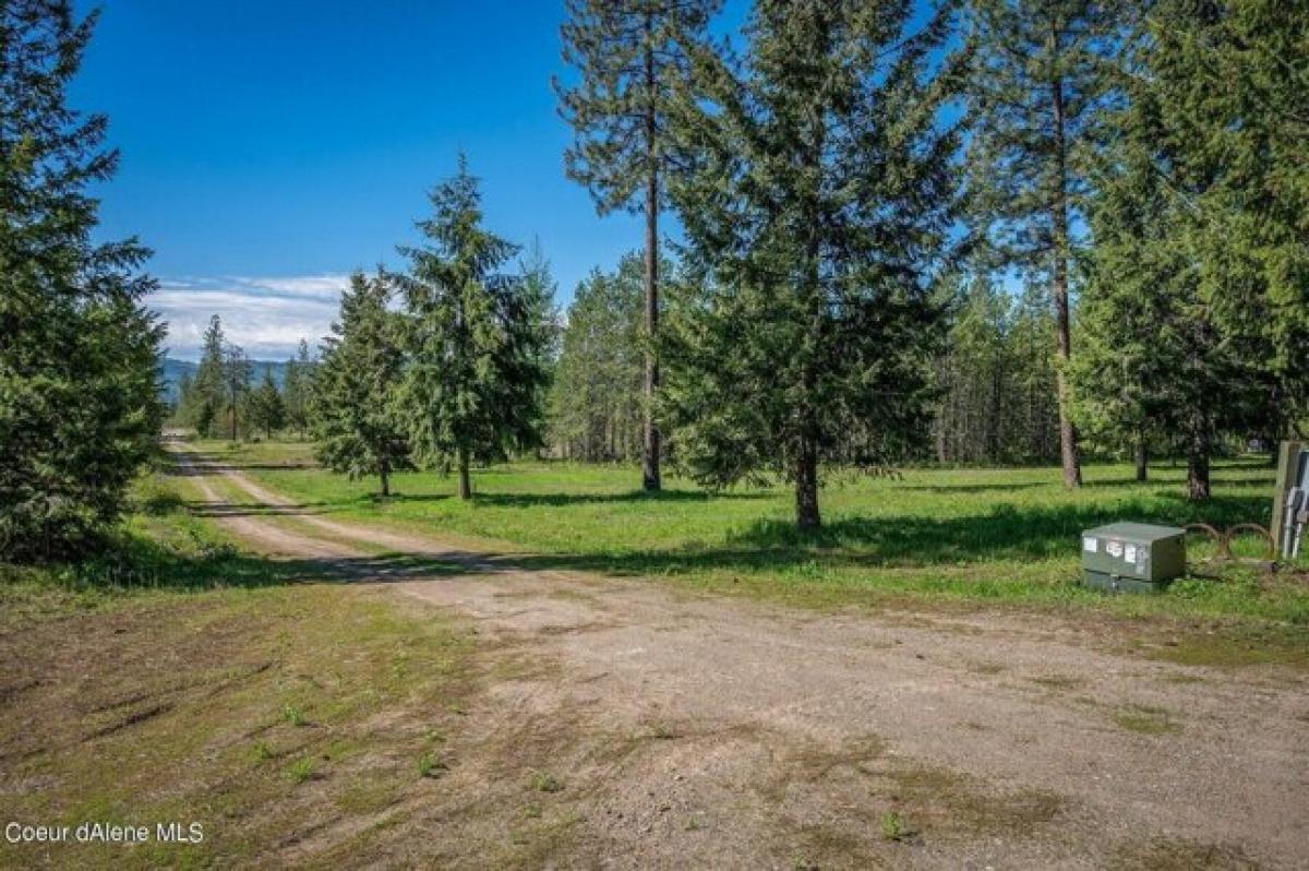Picture of Home For Sale in Blanchard, Idaho, United States