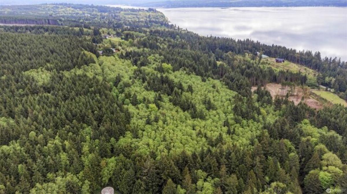Picture of Residential Land For Sale in Port Ludlow, Washington, United States