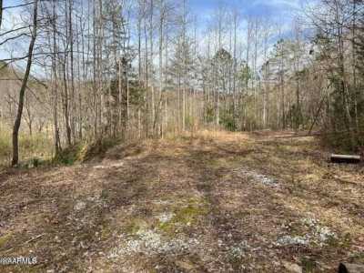 Residential Land For Sale in Clairfield, Tennessee