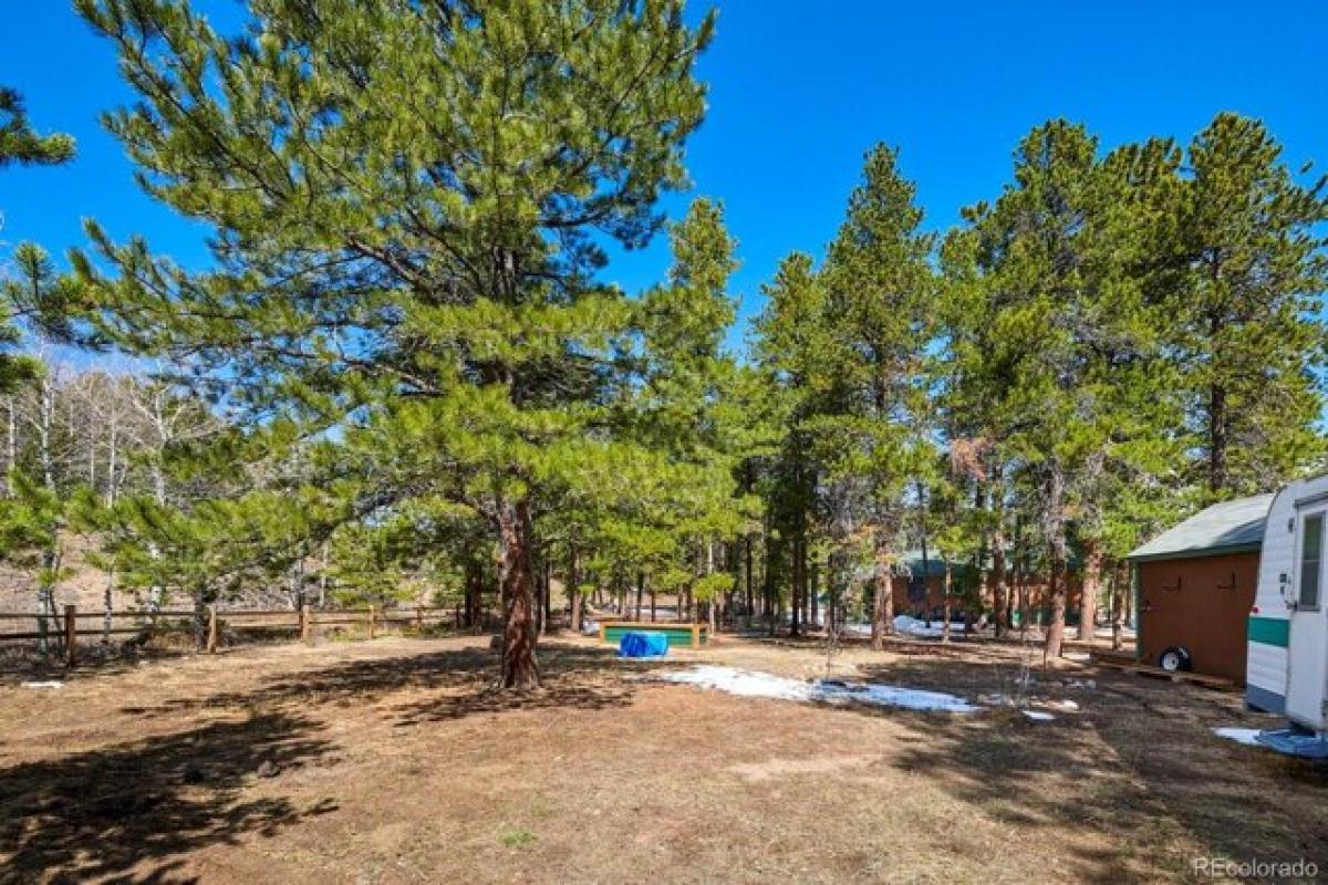 Picture of Home For Sale in Nederland, Colorado, United States