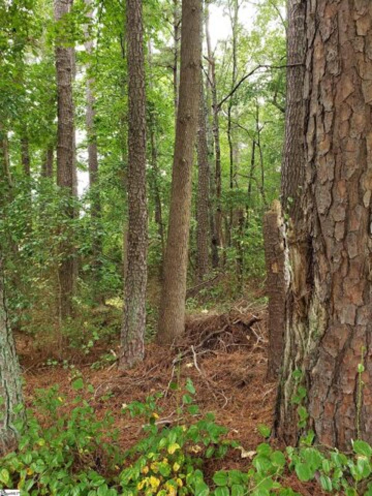 Picture of Residential Land For Sale in Spartanburg, South Carolina, United States