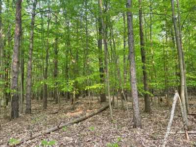 Residential Land For Sale in Grant, Michigan