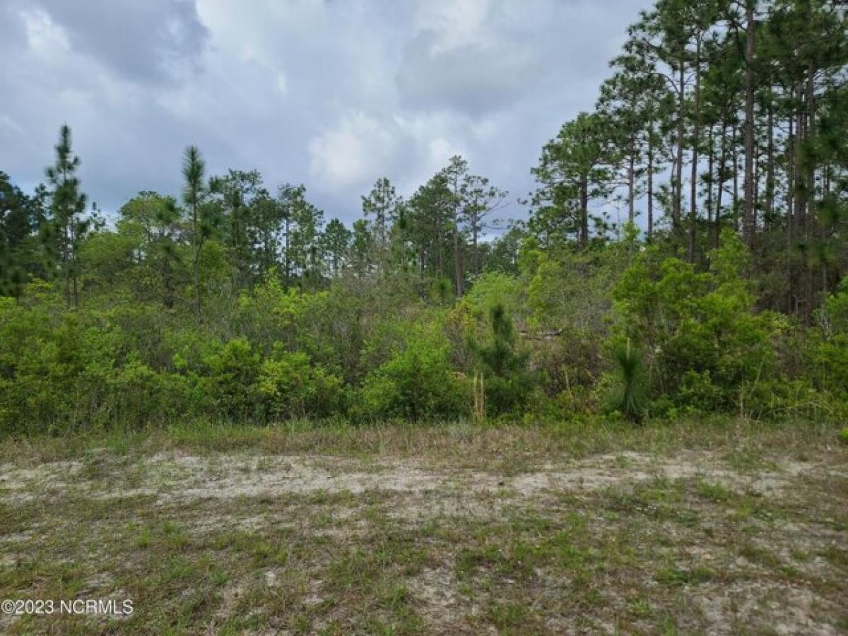 Picture of Residential Land For Sale in Southport, North Carolina, United States