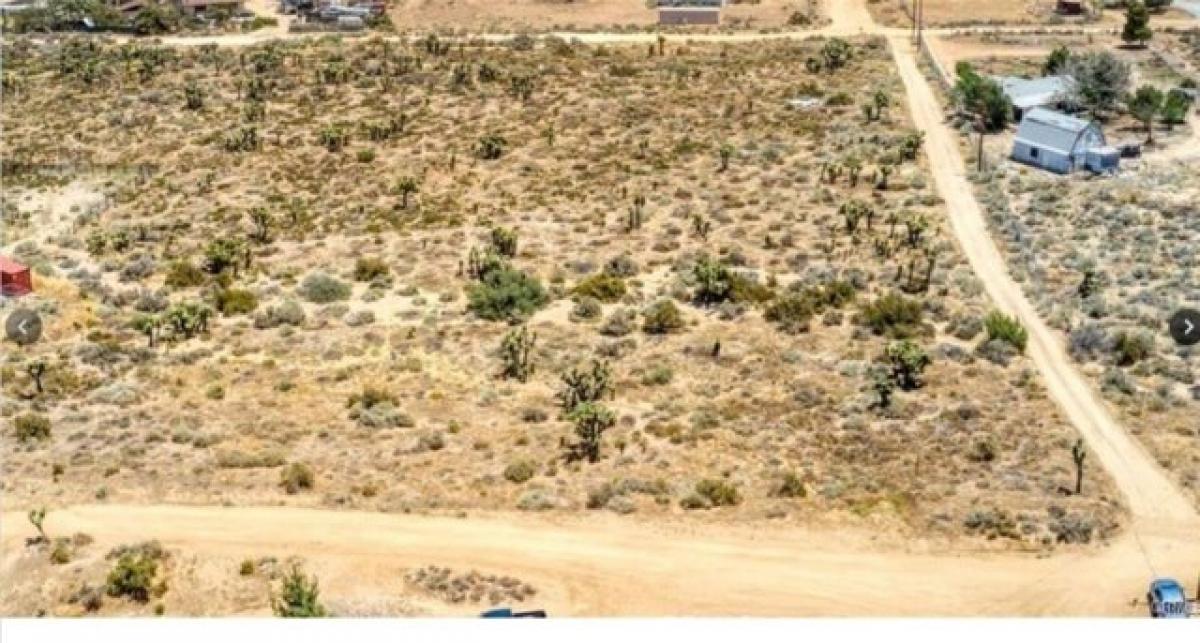 Picture of Residential Land For Sale in Phelan, California, United States