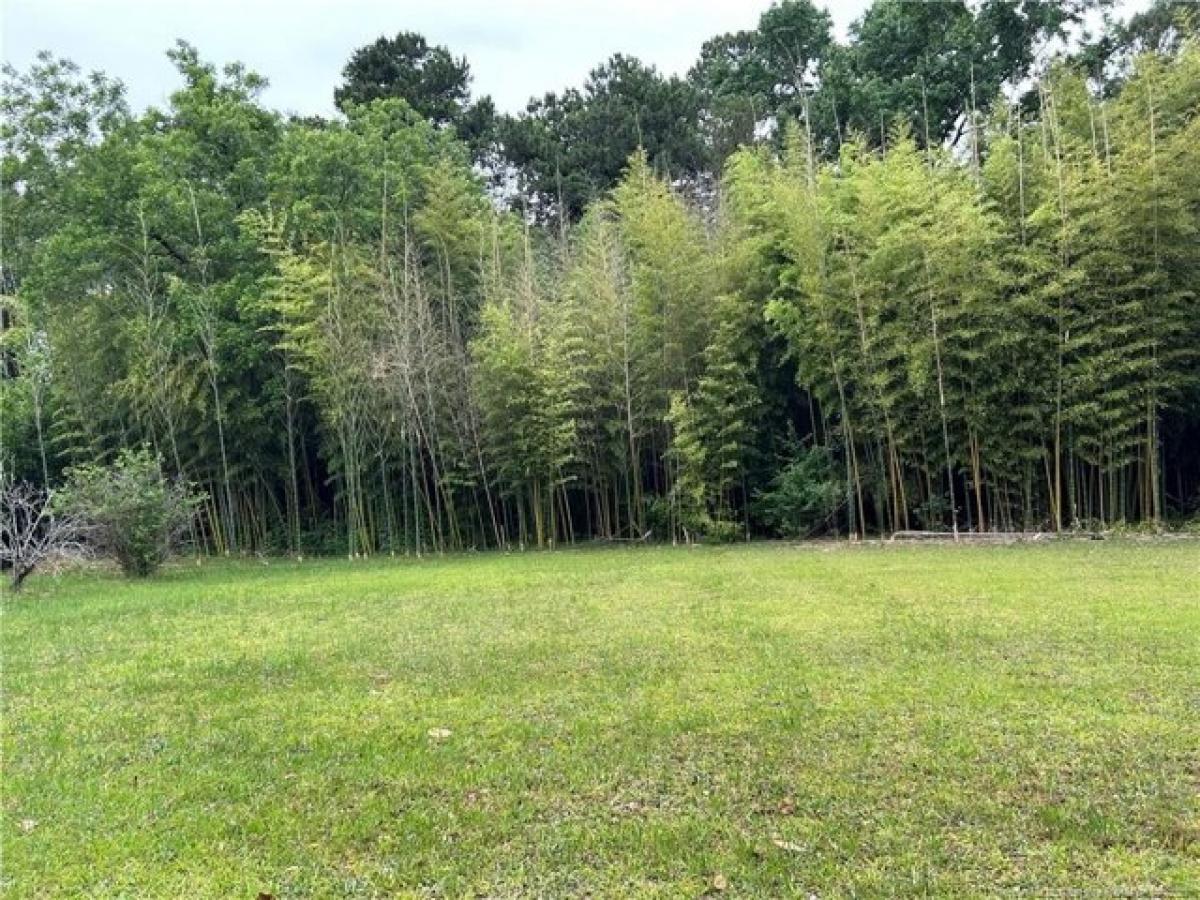 Picture of Residential Land For Sale in Lumberton, North Carolina, United States