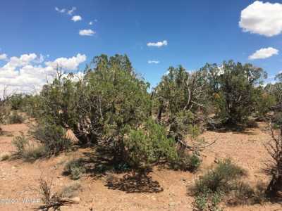 Residential Land For Sale in Snowflake, Arizona