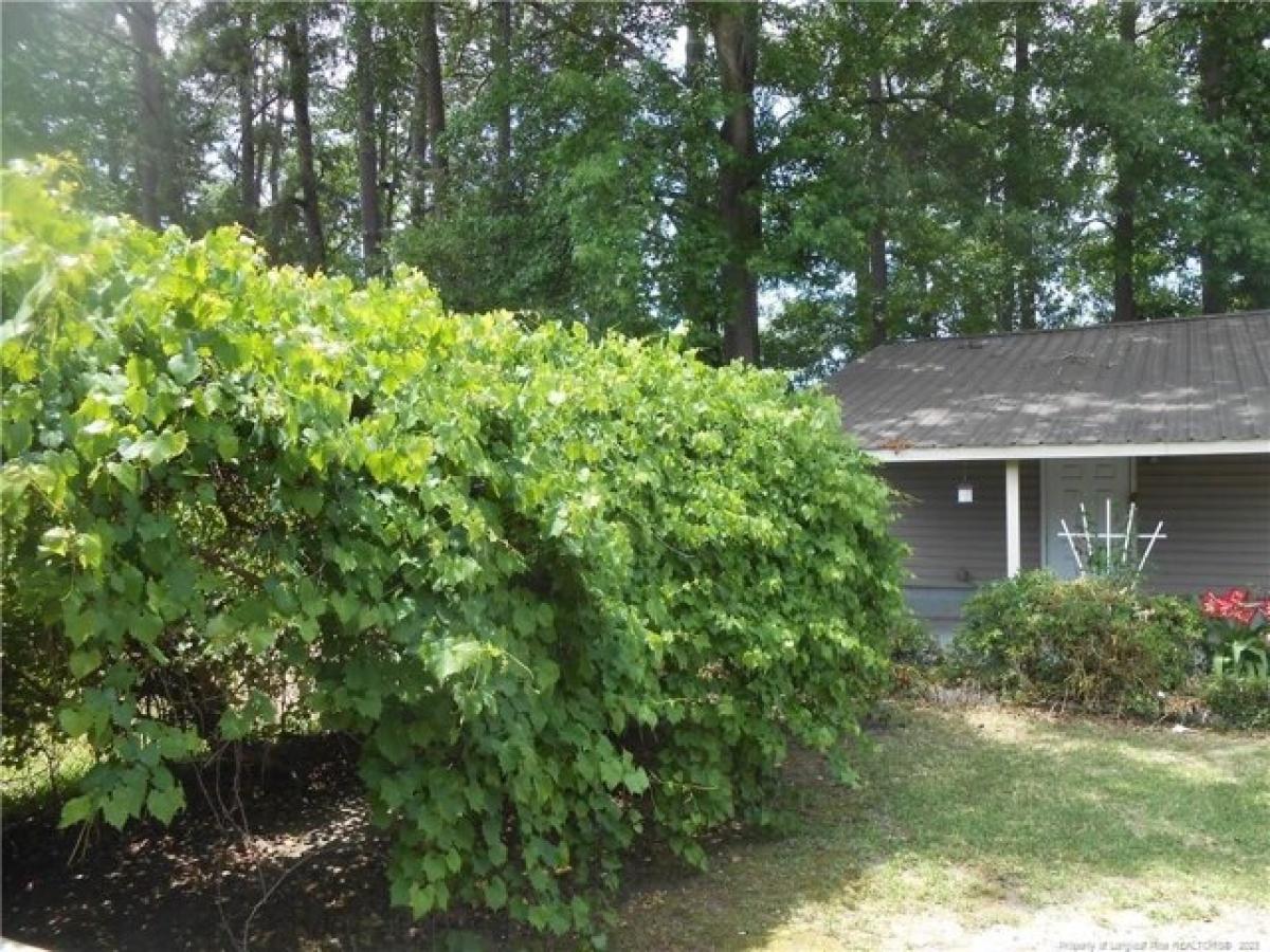 Picture of Home For Sale in Lumberton, North Carolina, United States