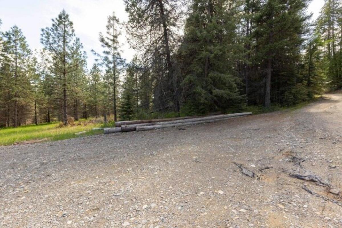 Picture of Residential Land For Sale in Cusick, Washington, United States