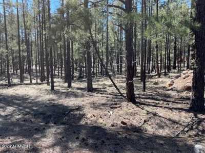 Residential Land For Sale in Greer, Arizona