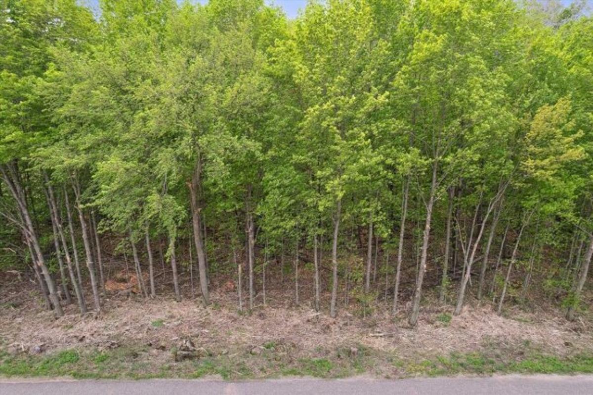 Picture of Residential Land For Sale in Marion, Wisconsin, United States