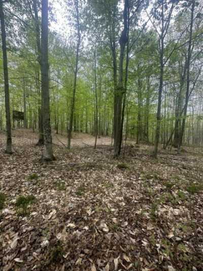 Residential Land For Sale in Branch, Michigan