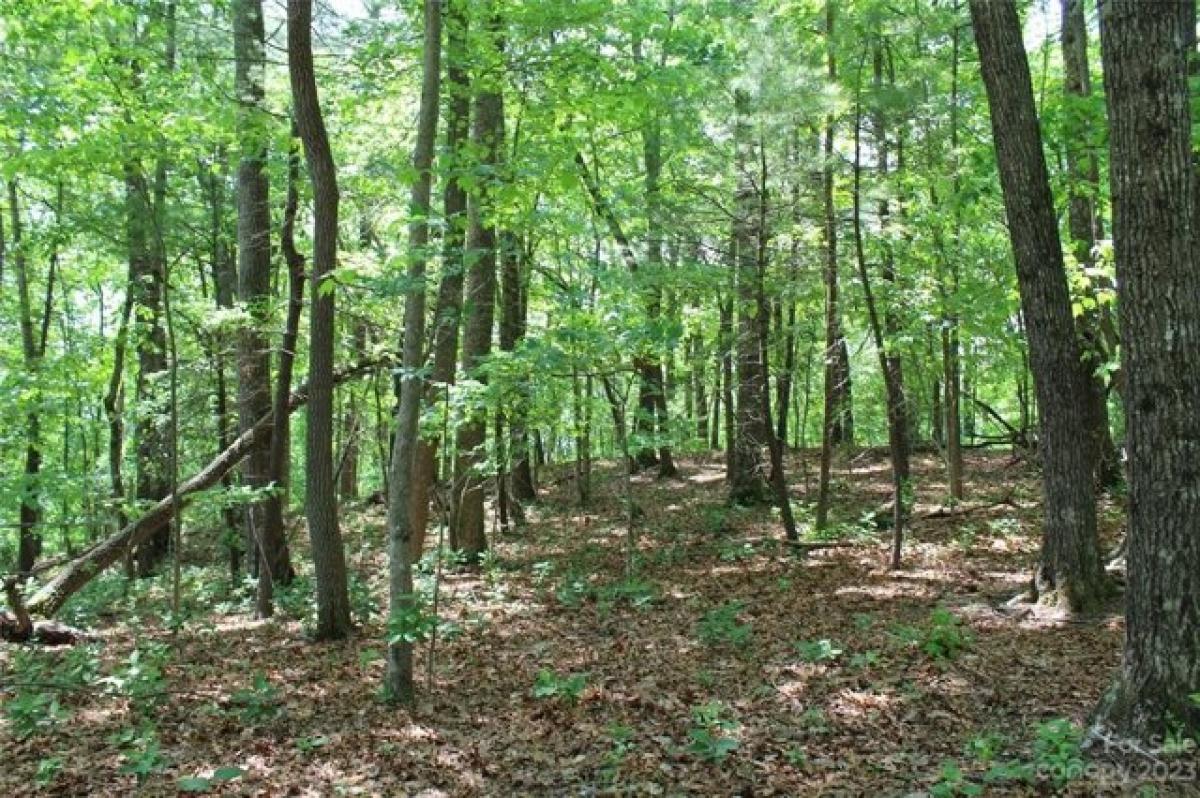 Picture of Residential Land For Sale in Hendersonville, North Carolina, United States