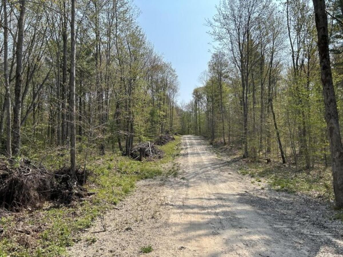 Picture of Residential Land For Sale in Gaylord, Michigan, United States