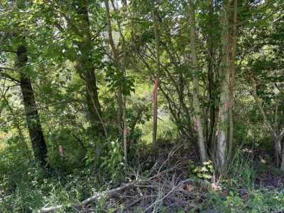 Residential Land For Sale in Columbia, North Carolina
