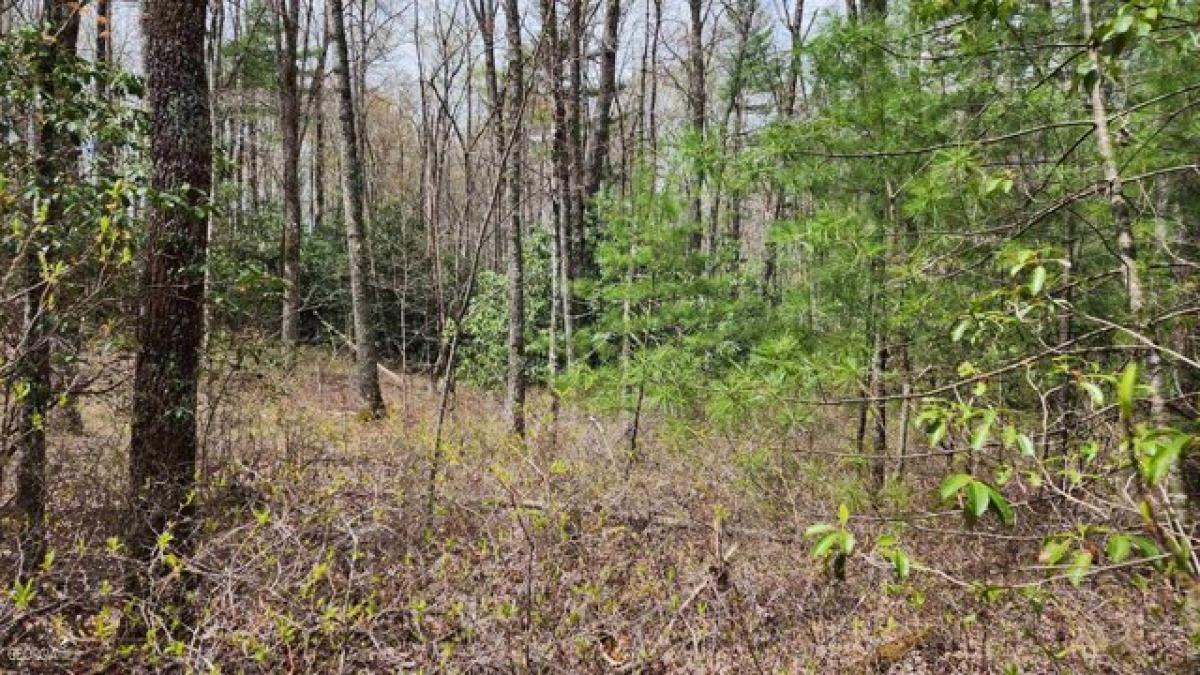 Picture of Residential Land For Sale in Cashiers, North Carolina, United States