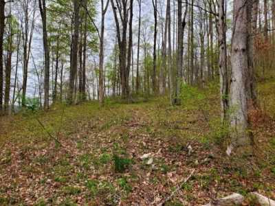 Residential Land For Sale in Big Stone Gap, Virginia