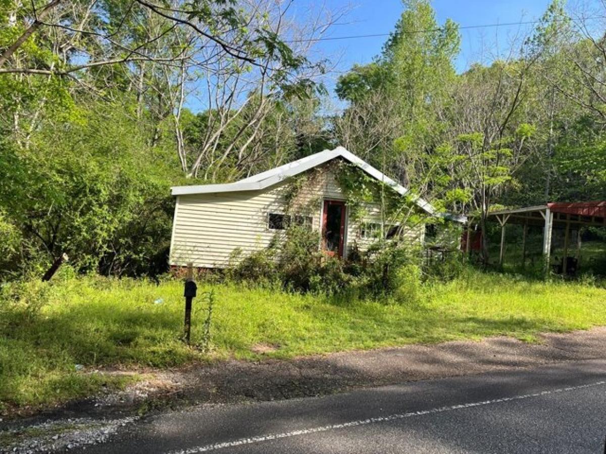 Picture of Home For Sale in Abbeville, Alabama, United States