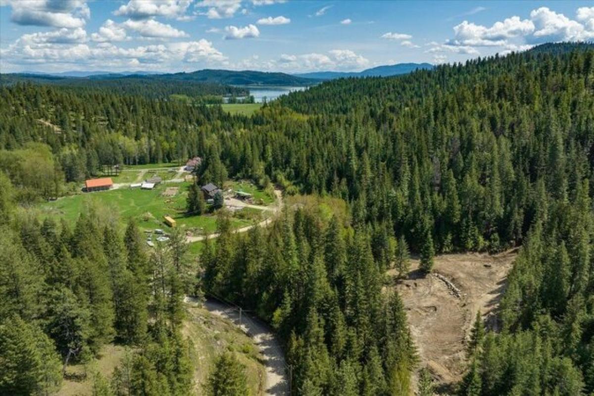 Picture of Residential Land For Sale in Newman Lake, Washington, United States