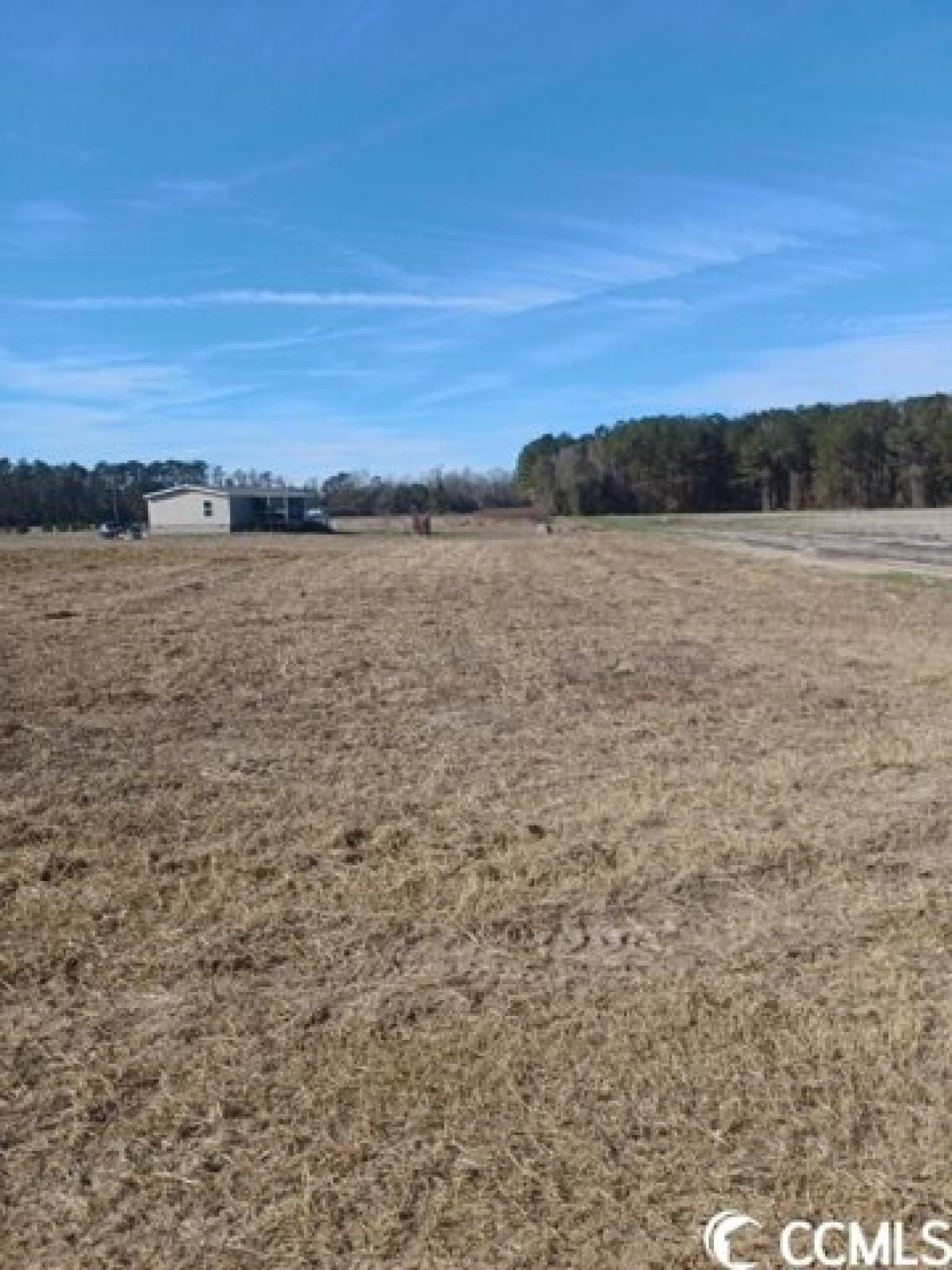 Picture of Residential Land For Sale in Galivants Ferry, South Carolina, United States