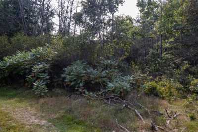 Residential Land For Sale in Marion, Michigan