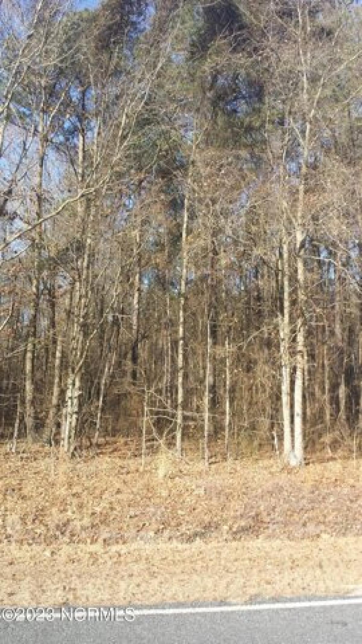 Picture of Residential Land For Sale in Bath, North Carolina, United States