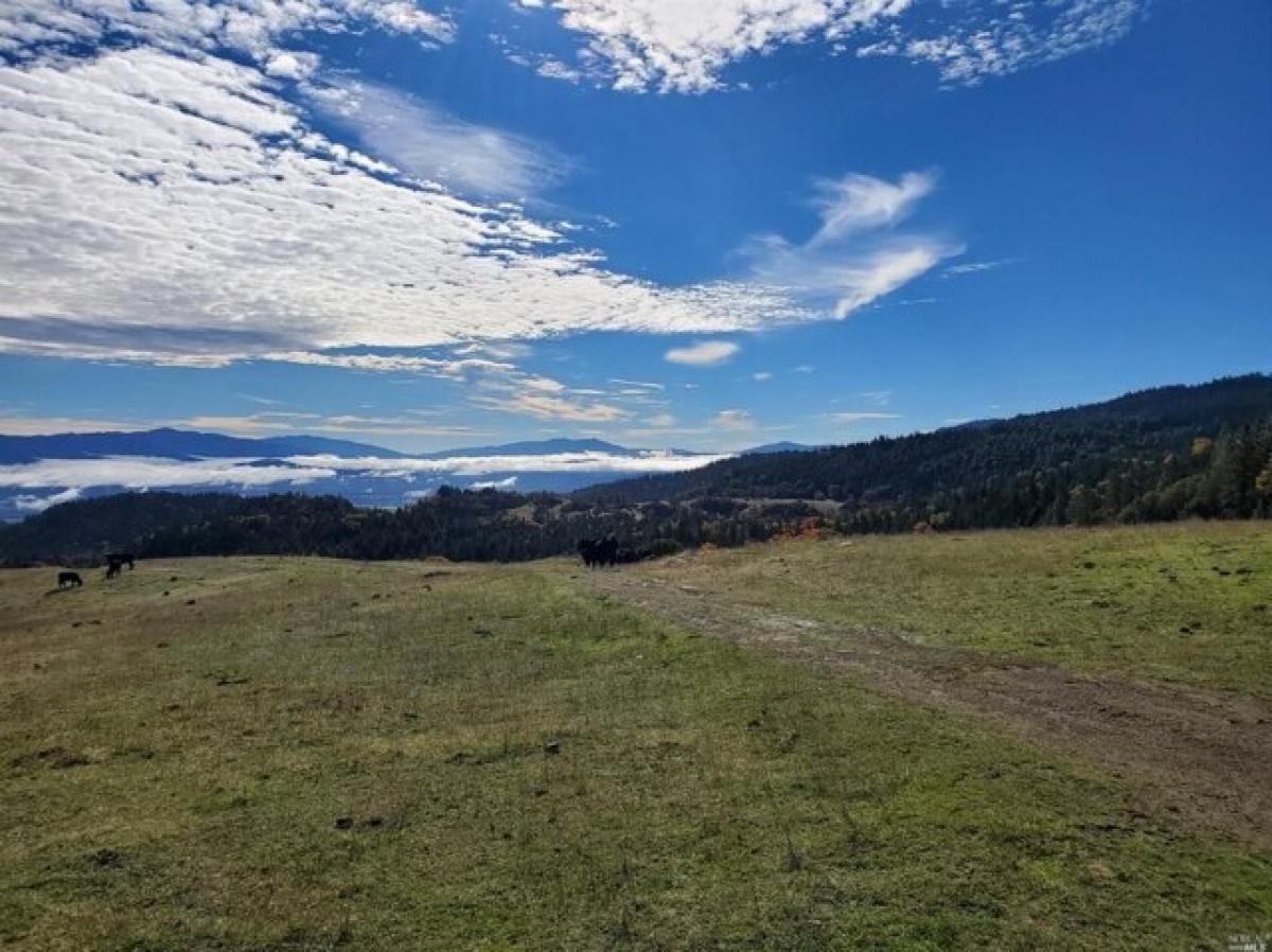 Picture of Residential Land For Sale in Covelo, California, United States